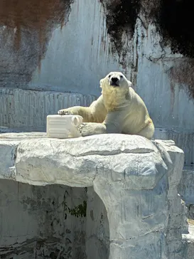 天王寺動物園に投稿された画像（2026/5/16）