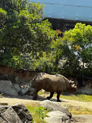 天王寺動物園に投稿された画像（2026/5/16）