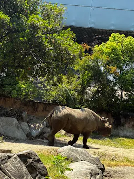 天王寺動物園に投稿された画像（2026/5/16）