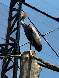 天王寺動物園に投稿された画像（2026/5/16）