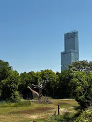 天王寺動物園に投稿された画像（2026/5/16）