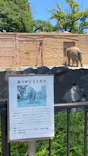 日立市かみね動物園に投稿された画像（2026/5/16）
