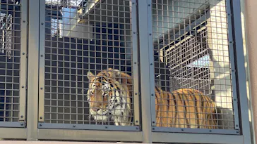 日立市かみね動物園に投稿された画像（2026/5/16）