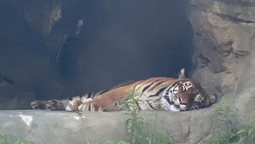 日立市かみね動物園に投稿された画像（2026/5/16）