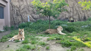 日立市かみね動物園に投稿された画像（2026/5/16）