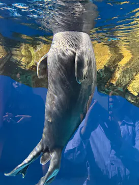 仙台うみの杜水族館に投稿された画像（2026/5/16）