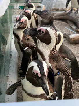 仙台うみの杜水族館に投稿された画像（2026/5/16）