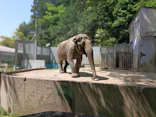 宇都宮動物園に投稿された画像（2026/5/16）