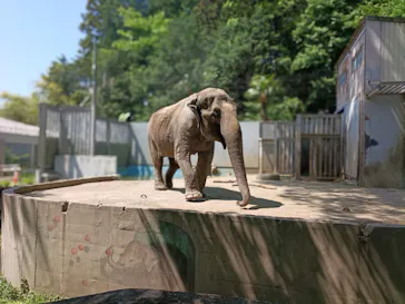 宇都宮動物園に投稿された画像（2026/5/16）