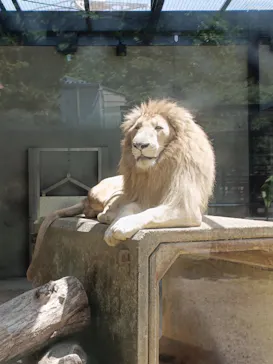 宇都宮動物園に投稿された画像（2026/5/16）