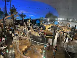 福井県立恐竜博物館に投稿された画像（2026/5/16）