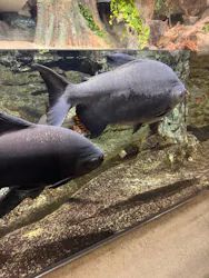 サンシャイン水族館に投稿された画像（2026/5/16）