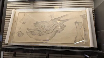 滋賀県立琵琶湖博物館に投稿された画像（2026/5/16）