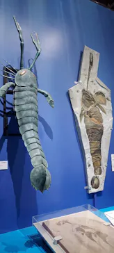 大絶滅展ー生命史のビッグファイブ（名古屋会場）に投稿された画像（2026/5/16）