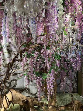 TOKYOROOMS展 〜40の部屋、40通りの生き方〜に投稿された画像（2026/5/16）