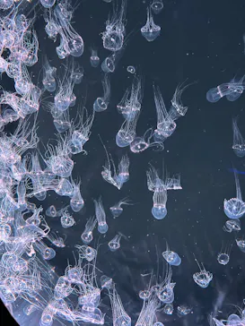 仙台うみの杜水族館に投稿された画像（2026/5/16）
