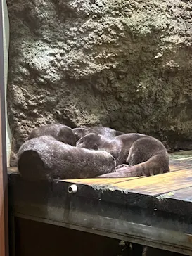 仙台うみの杜水族館に投稿された画像（2026/5/16）