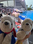 マリンワールド海の中道に投稿された画像（2026/5/16）