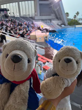 マリンワールド海の中道に投稿された画像（2026/5/16）