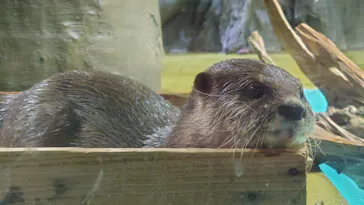 竹島水族館に投稿された画像（2026/5/16）
