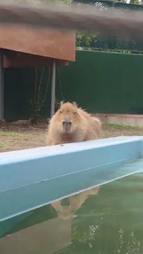 竹島水族館に投稿された画像（2026/5/16）