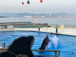 マリンワールド海の中道に投稿された画像（2026/5/16）