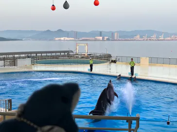 マリンワールド海の中道に投稿された画像（2026/5/16）