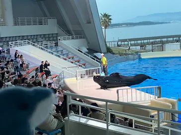 マリンワールド海の中道に投稿された画像（2026/5/16）