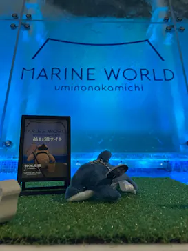 マリンワールド海の中道に投稿された画像（2026/5/16）