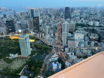 東京タワーに投稿された画像（2026/5/16）