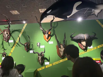 特別展「超危険生物展　科学で挑む生き物の本気」に投稿された画像（2026/5/16）