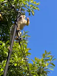 伊豆シャボテン動物公園に投稿された画像（2026/5/17）