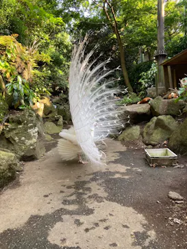 伊豆シャボテン動物公園に投稿された画像（2026/5/16）