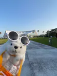 マリンワールド海の中道に投稿された画像（2026/5/17）