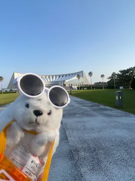 マリンワールド海の中道に投稿された画像（2026/5/16）