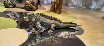 はしもとみお木彫展 いきものたちとの旅（氷見市芸術文化館）に投稿された画像（2026/5/16）