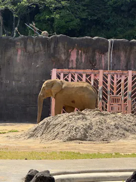 多摩動物公園に投稿された画像（2026/5/16）