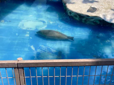 名古屋市東山動植物園に投稿された画像（2026/5/16）