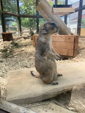 名古屋市東山動植物園に投稿された画像（2026/5/16）