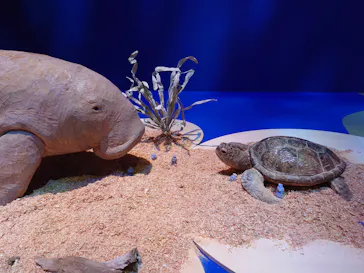 はしもとみお木彫展 いきものたちとの旅（氷見市芸術文化館）に投稿された画像（2026/5/16）