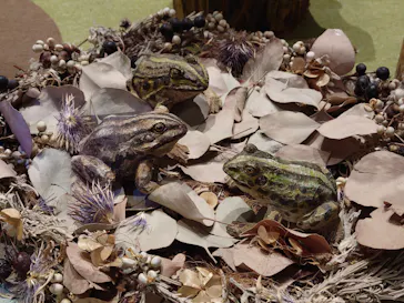 はしもとみお木彫展 いきものたちとの旅（氷見市芸術文化館）に投稿された画像（2026/5/16）