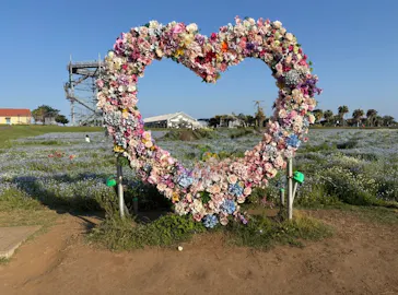 長井海の手公園ソレイユの丘に投稿された画像（2026/5/16）