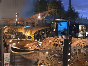 福井県立恐竜博物館に投稿された画像（2026/5/16）