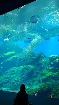 仙台うみの杜水族館に投稿された画像（2026/5/16）