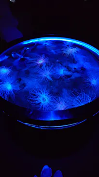 仙台うみの杜水族館に投稿された画像（2026/5/16）