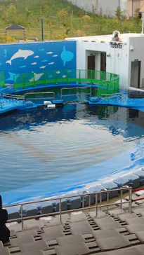 仙台うみの杜水族館に投稿された画像（2026/5/16）