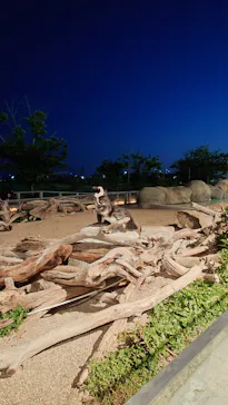 仙台うみの杜水族館に投稿された画像（2026/5/16）