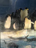 名古屋港水族館に投稿された画像（2026/5/17）