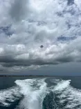 ブルーラグーン石垣島に投稿された画像（2026/5/17）
