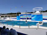 鴨川シーワールドに投稿された画像（2026/5/17）
